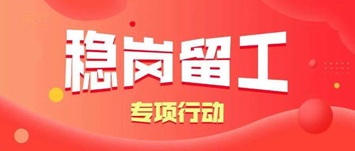 百萬青年長技能,促進就業(yè)見行動